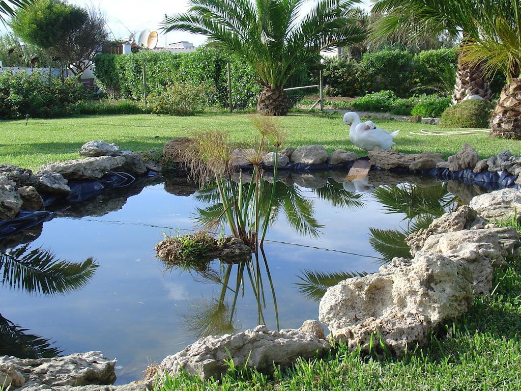 Quinta Beira-Mar Acomodação com café da manhã Azenhas do Mar Exterior foto